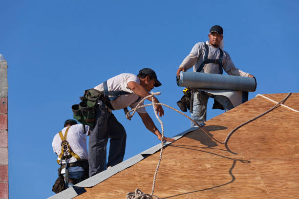 Best Gutter Installation and Roofing  in Marshall, MN