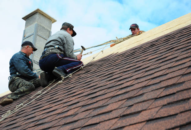 Best Flat Roof Repair Services  in Marshall, MN